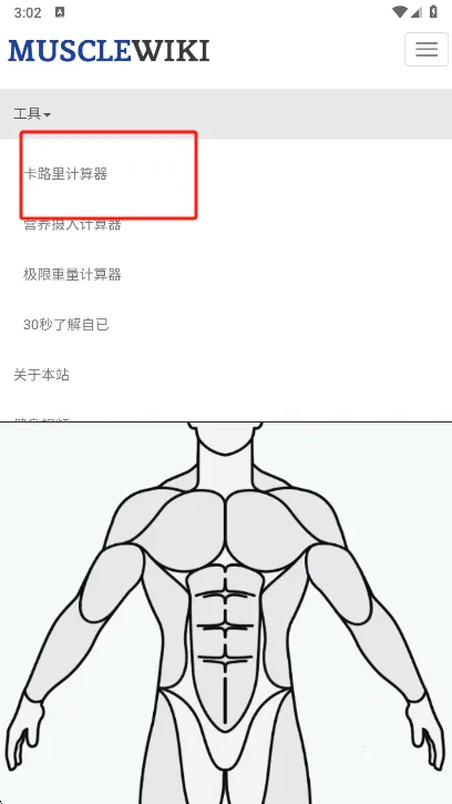Muscle Wiki��׿���ֻ���v3.0.9 ��Ѱ�