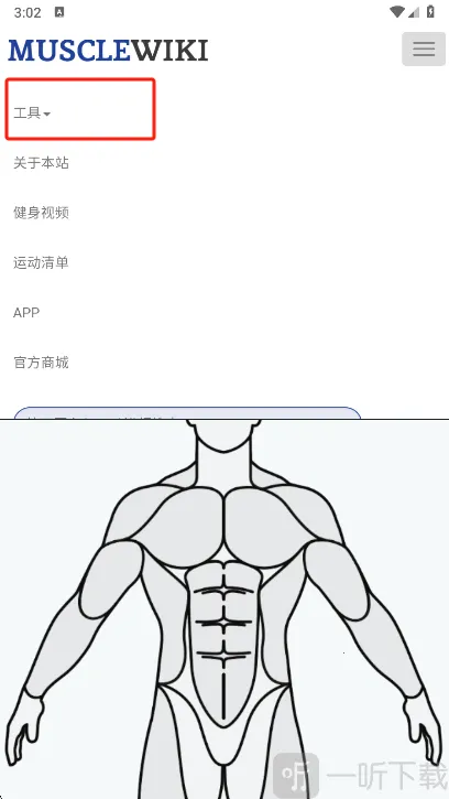 Muscle Wiki��׿���ֻ���