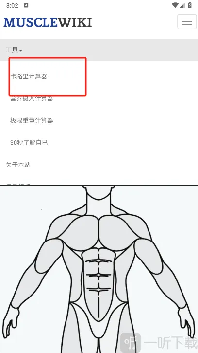 Muscle Wiki��׿���ֻ���