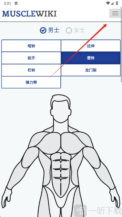 Muscle Wiki