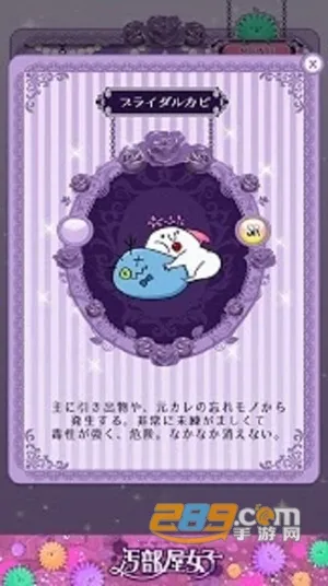 污部屋的姬2026最新版本 污部屋的姬2026最新版本