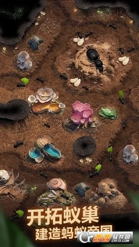 The Ants�����ֻ���v3.87.0 ��׿��