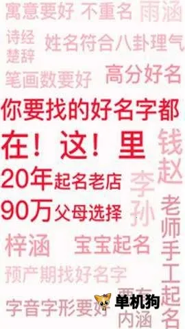 周易八字2026最新版本 周易八字2026最新版本