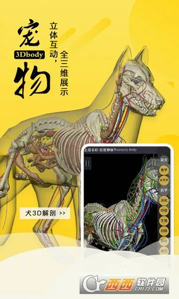 3dbody宠物app免费下载 3dbody宠物app免费下载