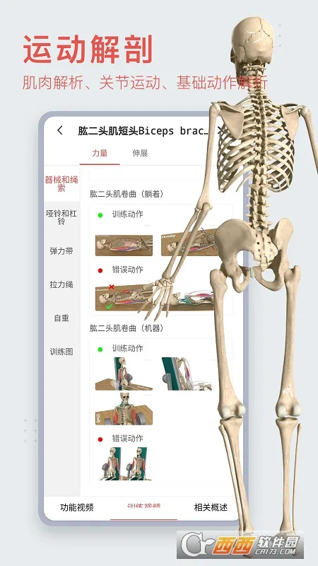 3dbody����app�������v8.8.91 �ٷ�����