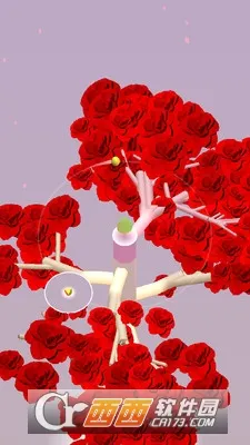 ��ת֮��(����������Ϸ)v1.2.0 �ٷ�����
