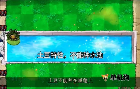 废物大战僵尸安卓版手机版 废物大战僵尸安卓版手机版