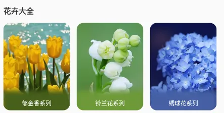 花草录安卓版手机版 花草录安卓版手机版