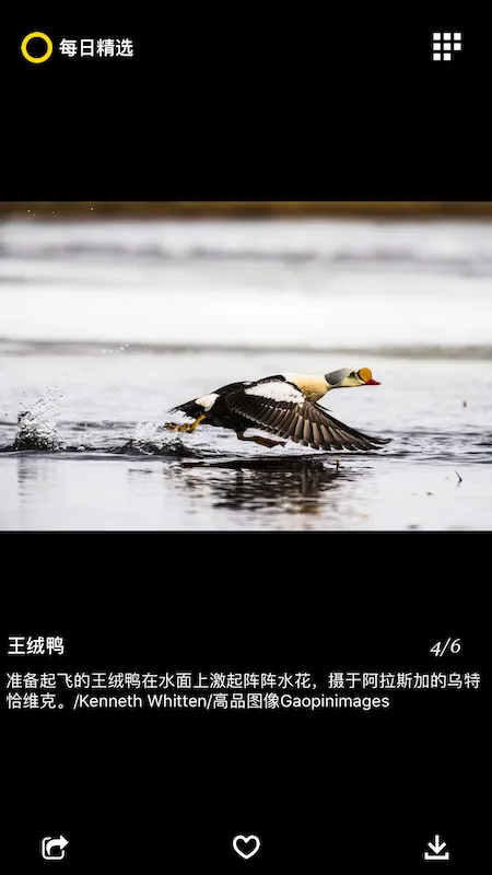 ÿ�վ�ѡ(����Ӱ��չʾ)v3.0.7 �ֻ���
