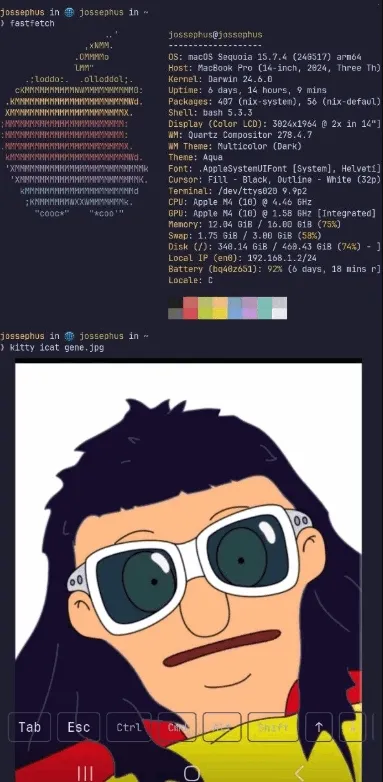 chuchu(SSH�ͻ��˹���)v1.0 �ٷ�����
