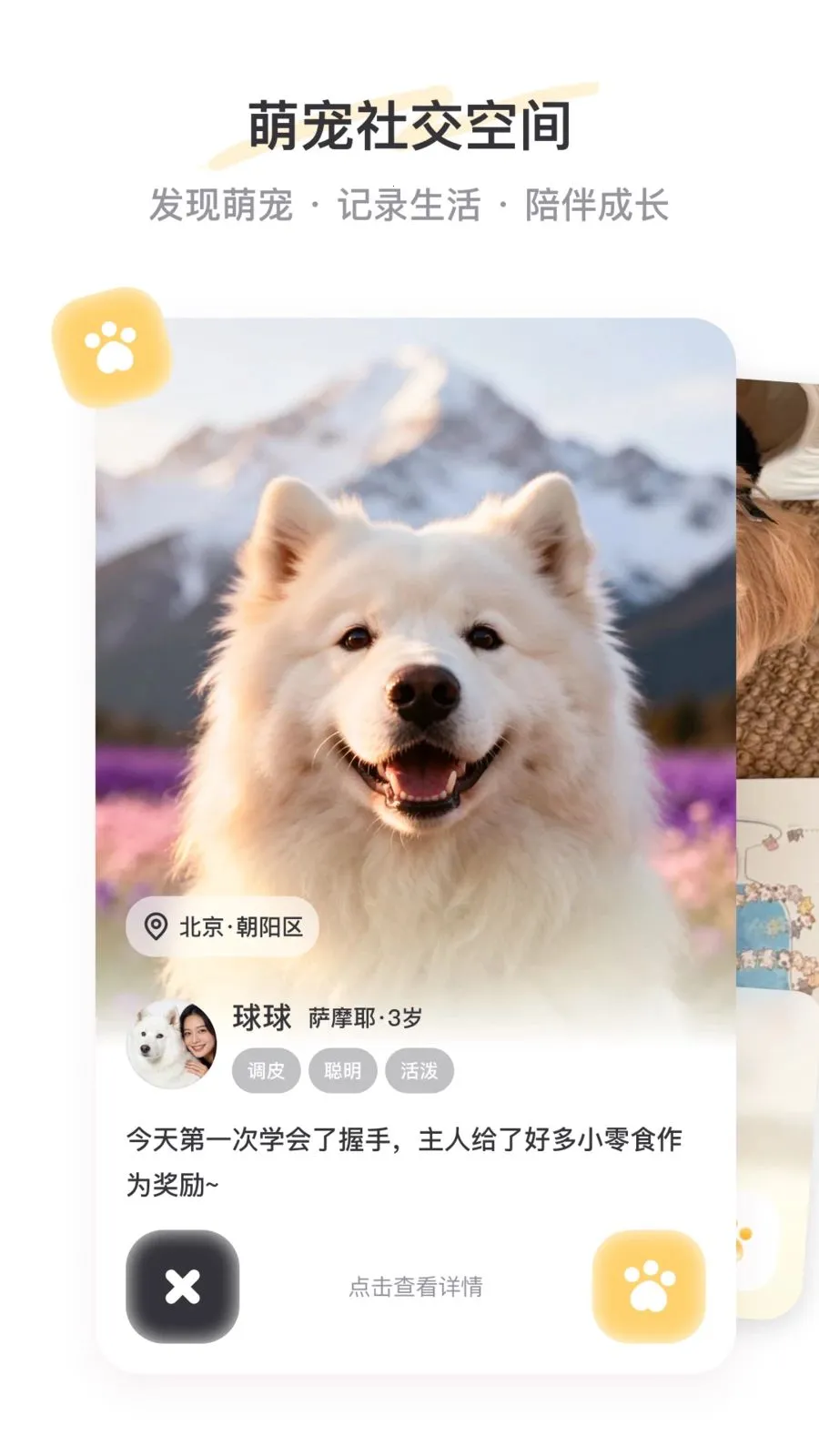 PetSpace(�ȳ��罻ƽ̨)v1.0 �ֻ���