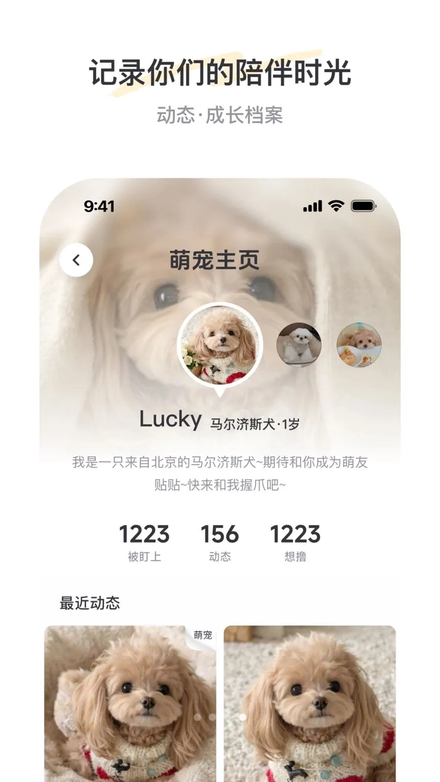 PetSpace(�ȳ��罻ƽ̨)v1.0 �ֻ���
