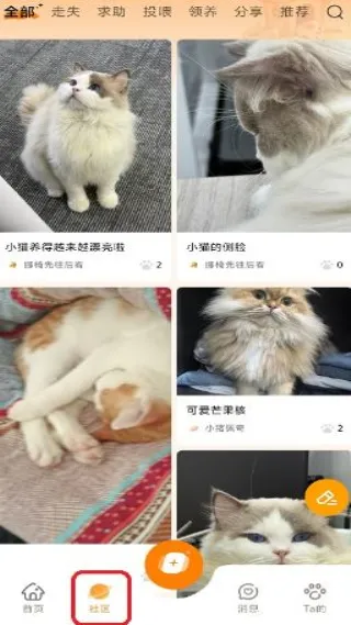 莫莫宠医最新手机版 莫莫宠医最新手机版