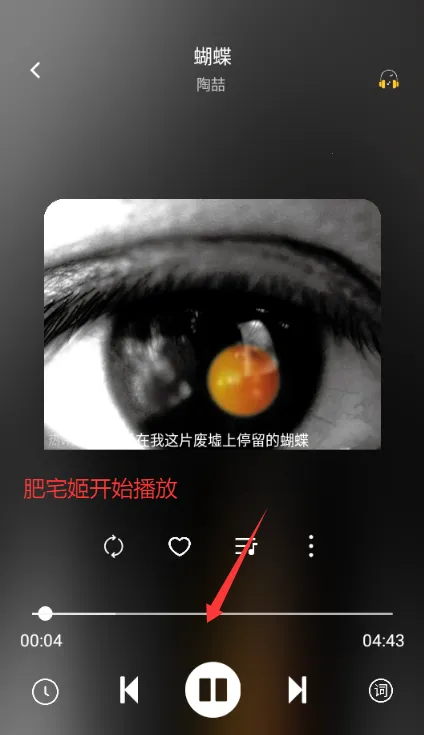 音悦时光2026下载安装 音悦时光2026下载安装