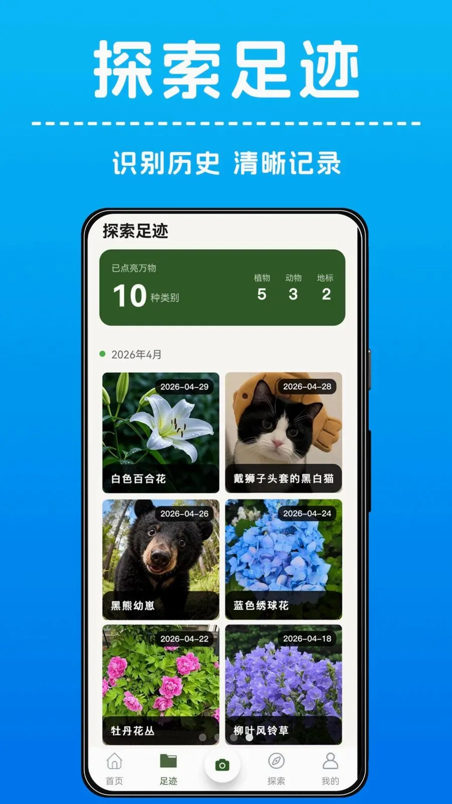 AI����ʶ��(���ʶ�﹦��)v1.0.4 �ٷ�����