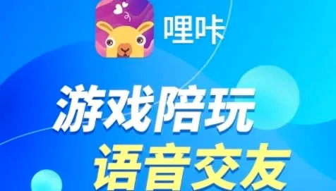��������(��������ƽ̨)