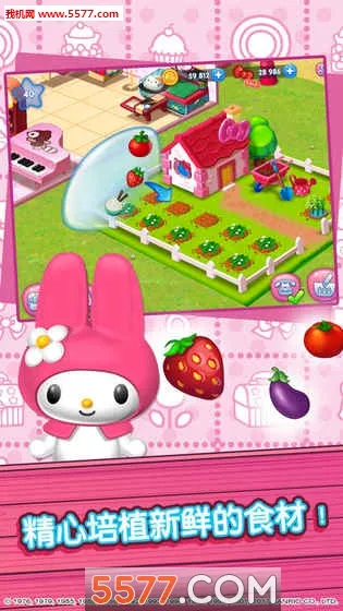 hellokitty��ʳС�����޽�Ұ�2026�ٷ����°汾v1.6 ��׿��