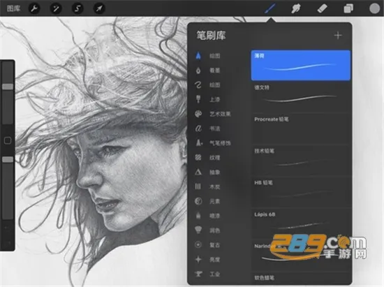 procreate�滭(�滭��������)v3.0 ��׿��