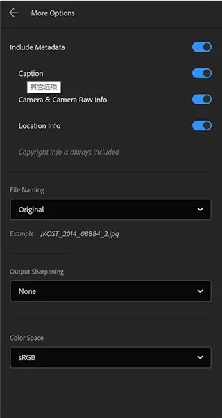 Lightroom�����ֻ���