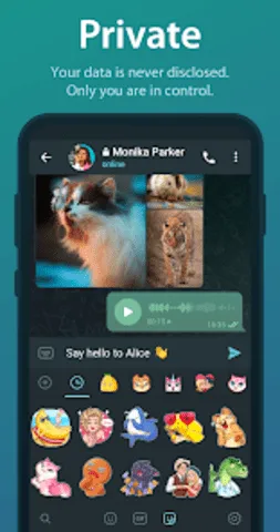 telegreatƻ��������v12.0.1 �ֻ���