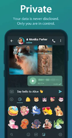 telegreat��������v12.0.1 �ֻ���