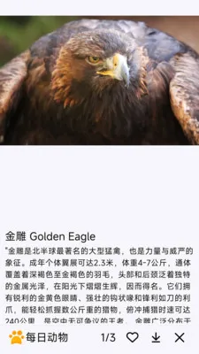 ÿ�ն��������ֻ���v1.0.0 �ֻ���