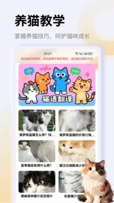 ����è��app��׿���ֻ���v1.4 �ֻ���