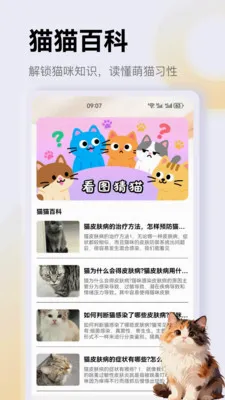 ����è��app��׿���ֻ���v1.4 �ֻ���
