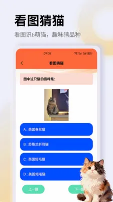 ����è��app��׿���ֻ���v1.4 �ֻ���