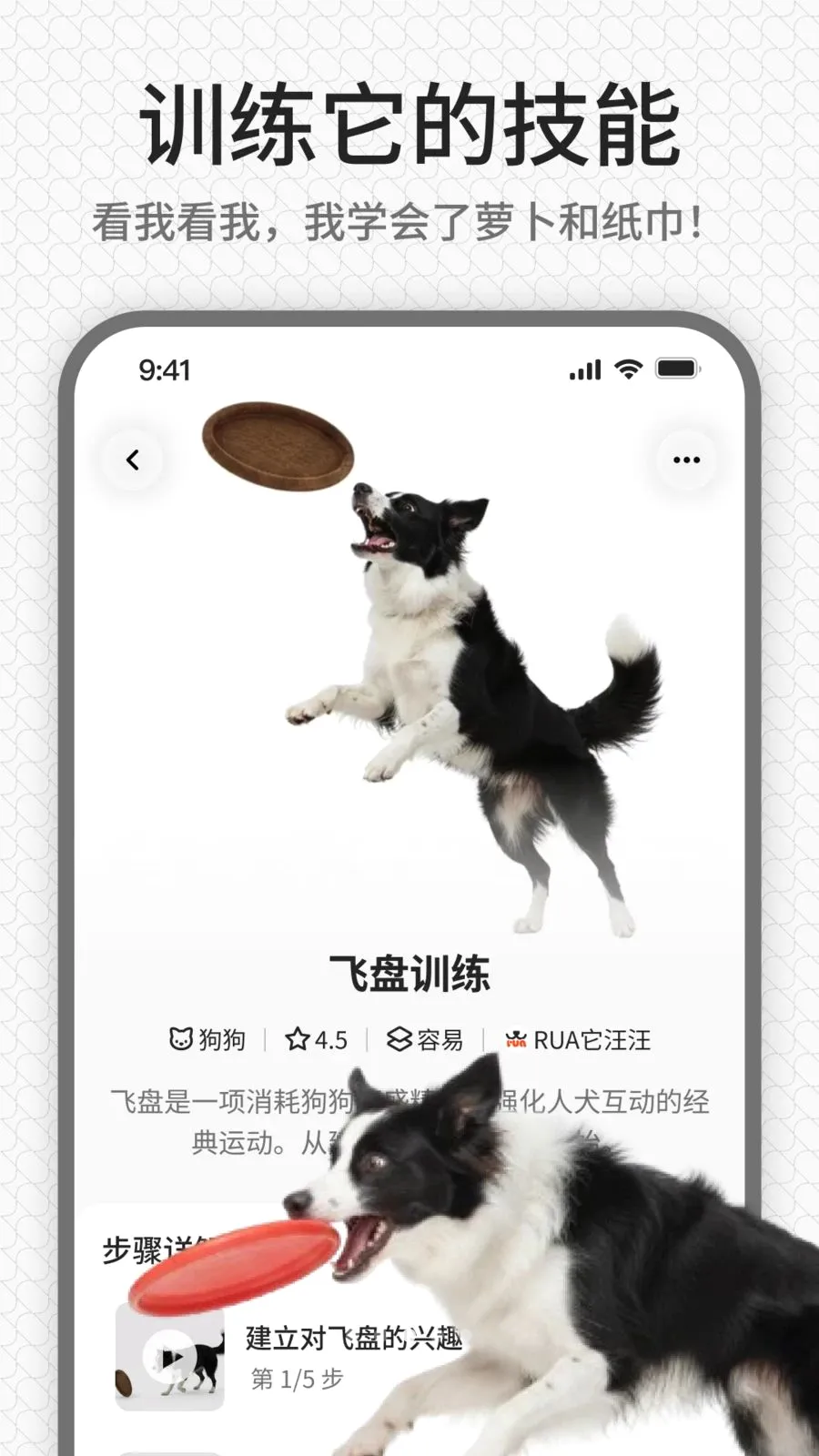 rua��(����ѵ��ƽ̨)v1.0.1 �ֻ���