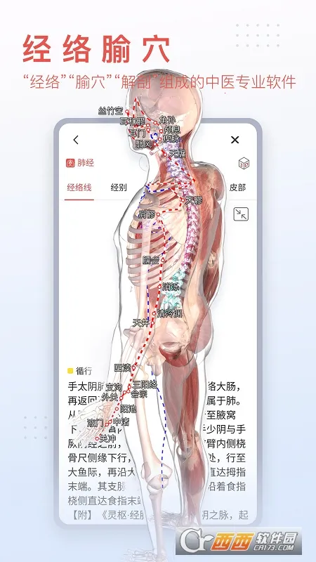 3dbody�������İ�v8.9.30 ��׿��
