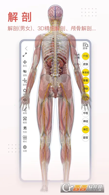 3dbody�������İ�v8.9.30 ��׿��