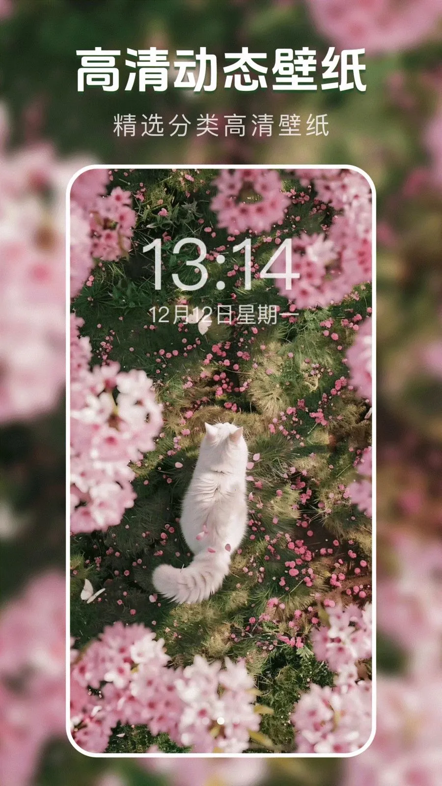 ��̬�����ֽ��2026�ٷ����°汾v1.0.0 ��Ѱ�