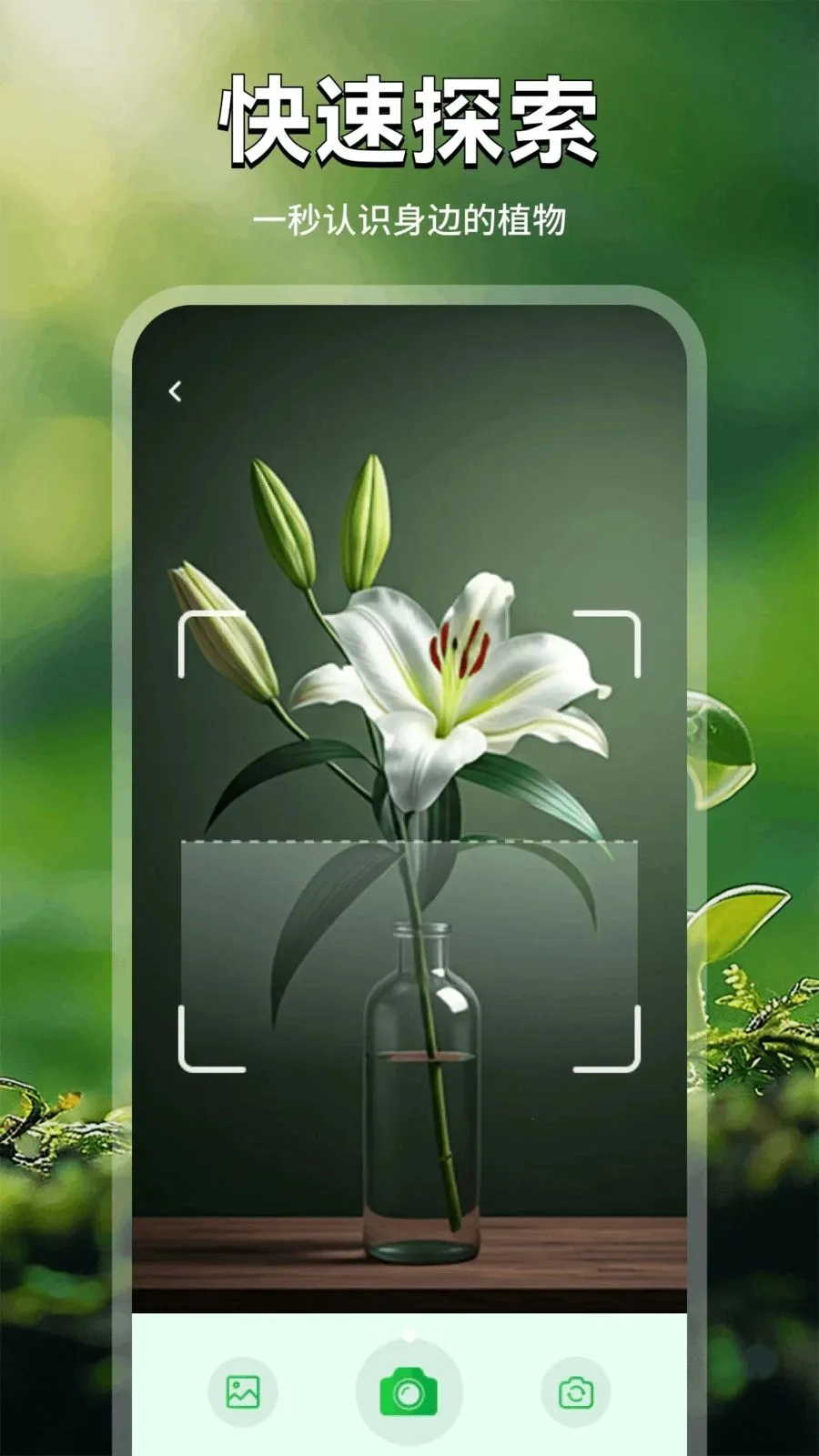 ���Ļ�(������������)v1.1 �ֻ���