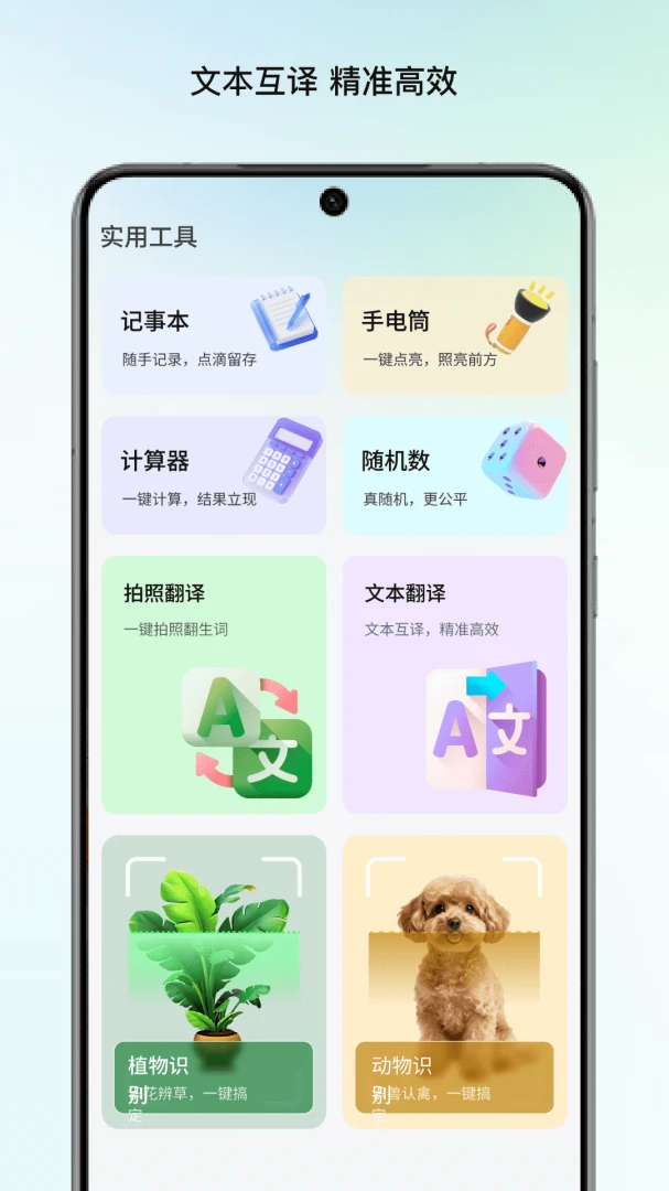 ����Ŵ�2026�ٷ����°汾v1.1 �ٷ�����
