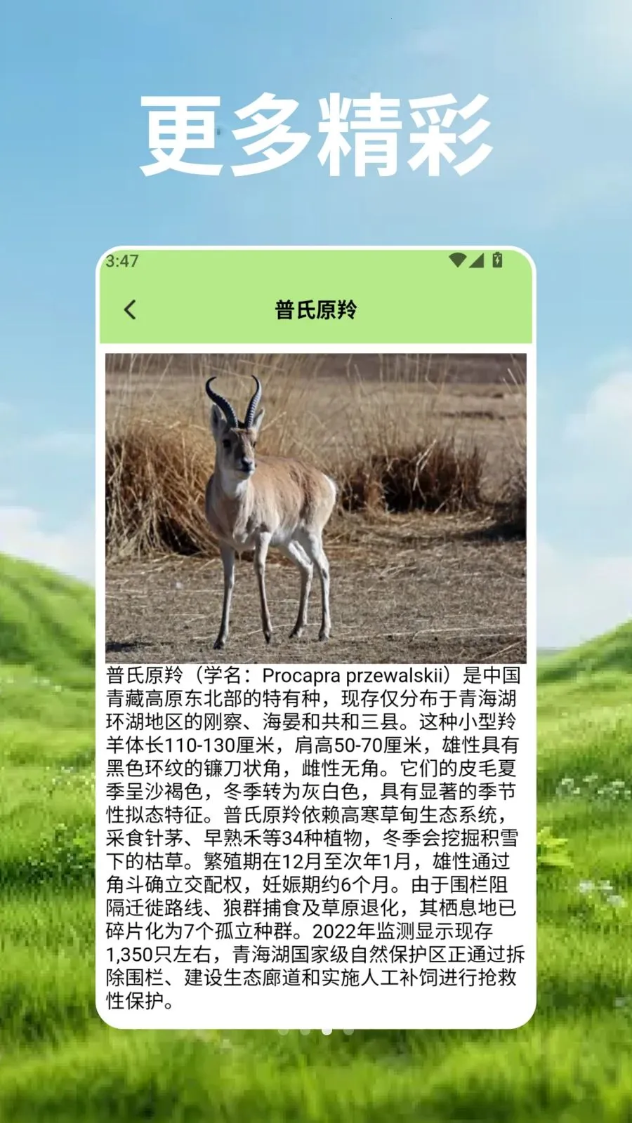 ��Ⱥ�Ŀ�ѧ��2026���°汾v2.3 �ٷ�����