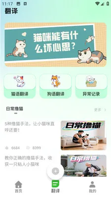 PEPPYCATè��ռ�2026�ٷ����°汾v2.0.0 �ٷ�����