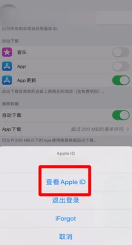 苹果应用商店AppStore(手机应用工具)
