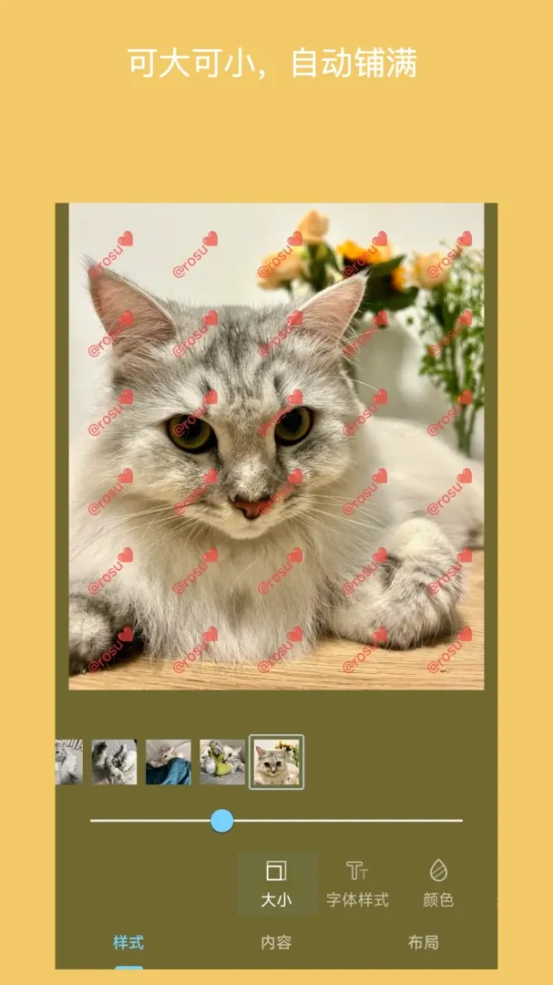 ��ˮӡ��Ƭ(��Ƭˮӡ���ӹ���)