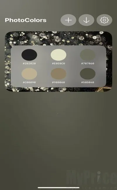 PhotoColors安卓版手机版 PhotoColors安卓版手机版