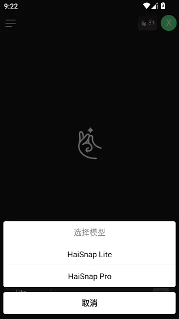 响指HaiSnap(AI应用开发平台) 响指HaiSnap(AI应用开发平台)