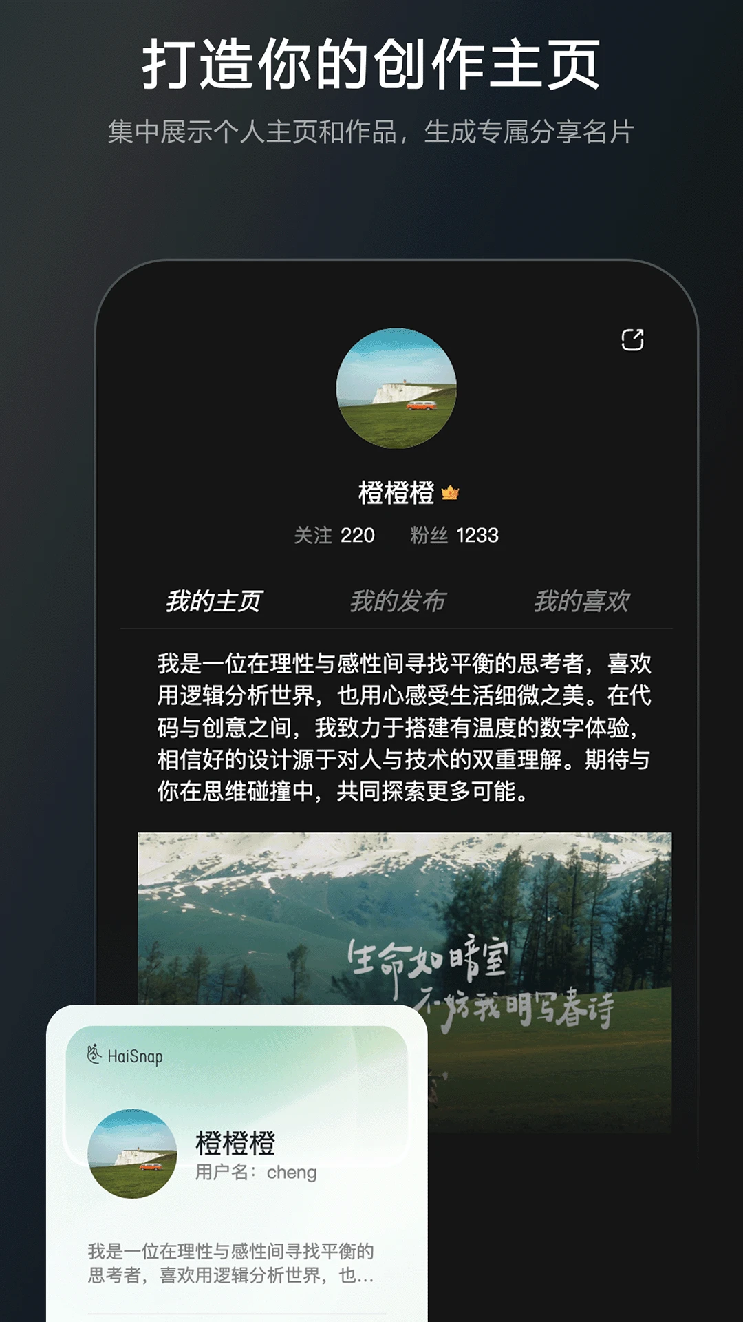 ��ָHaiSnap(AIӦ�ÿ���ƽ̨)v0.0.8 ��Ѱ�