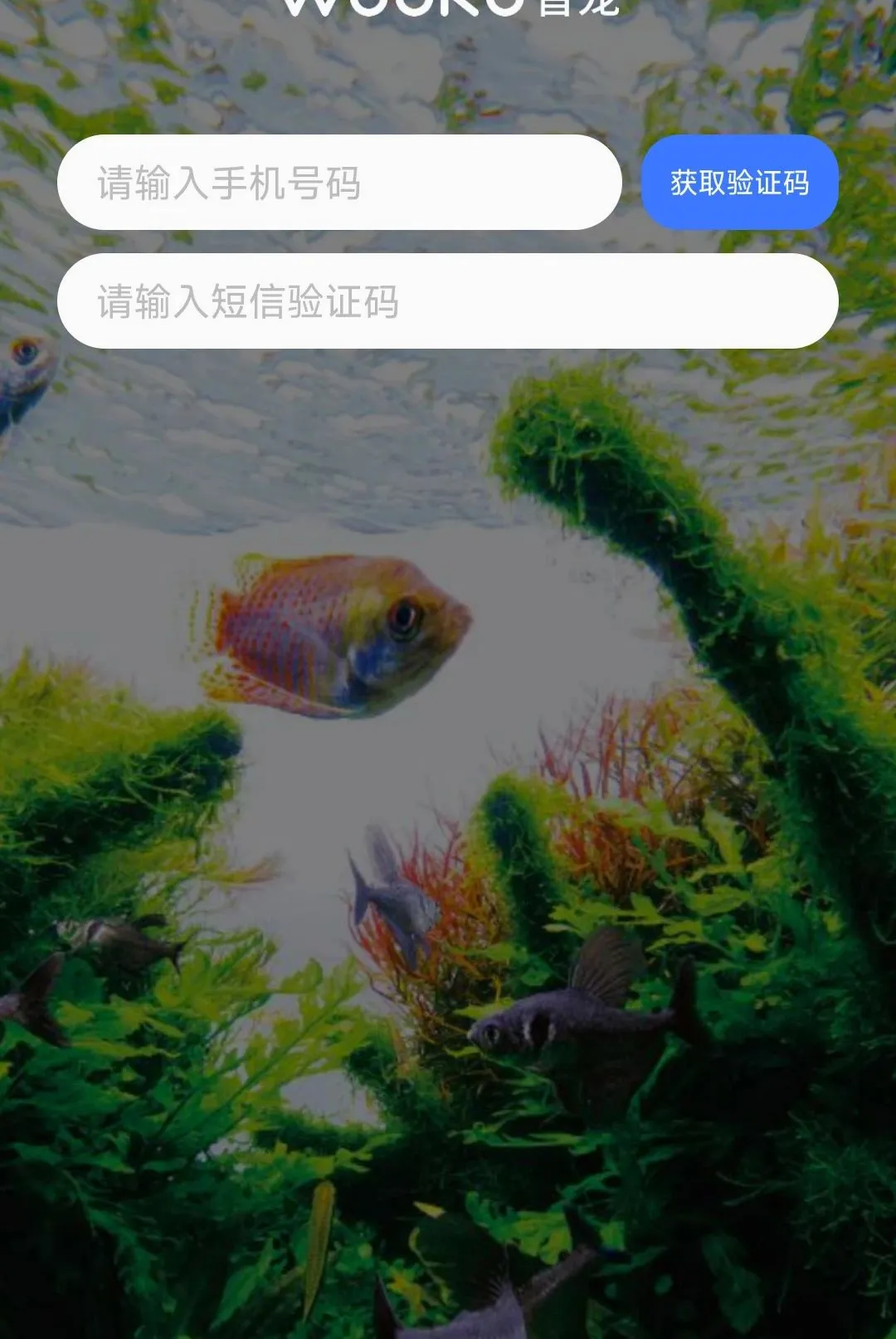 WOOKU�ǳ�2026���°汾v1.0.29 ��Ѱ�