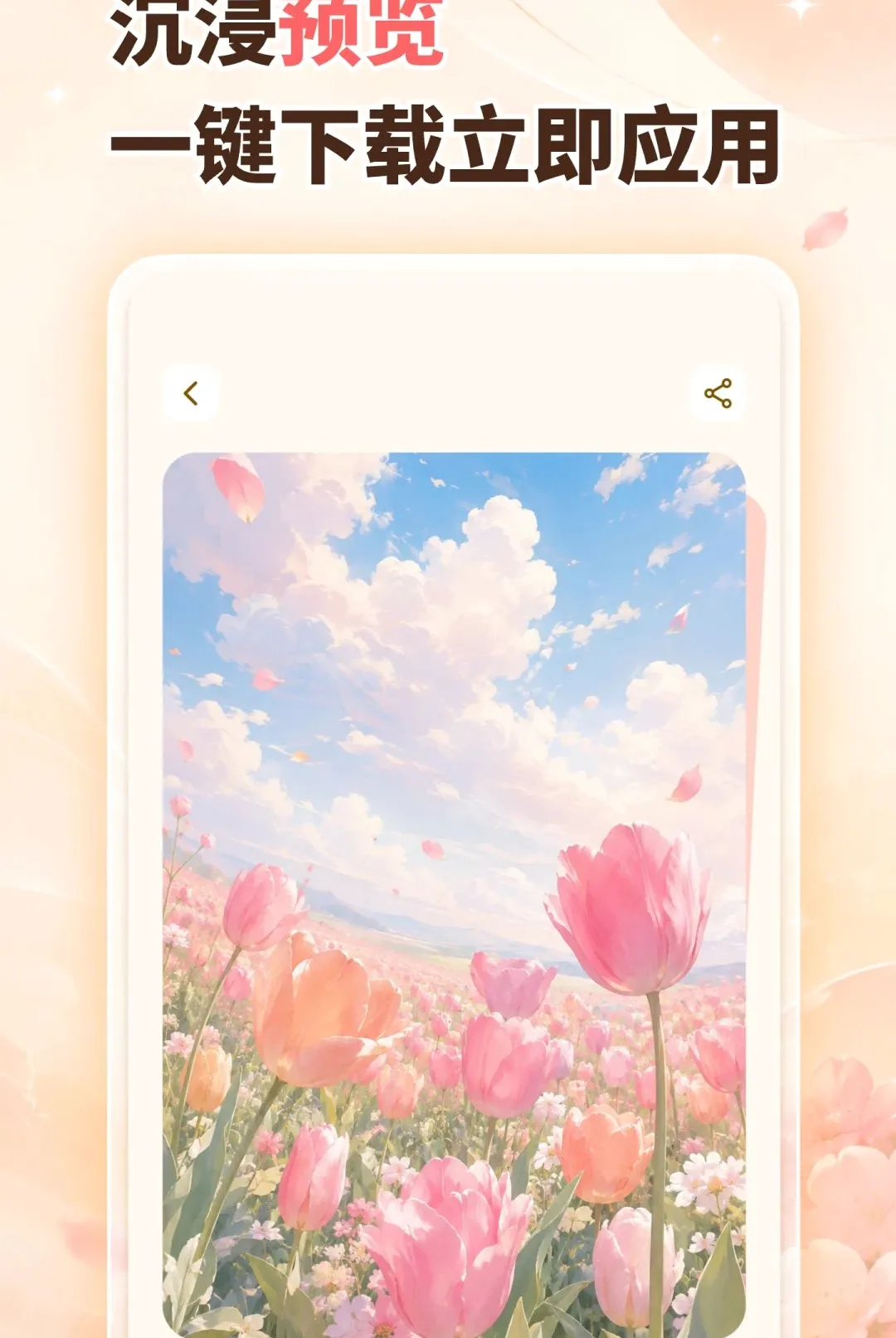 ��������ֻ���ֽ����(��̬��ֽ��������)v1.0.0 �ֻ���