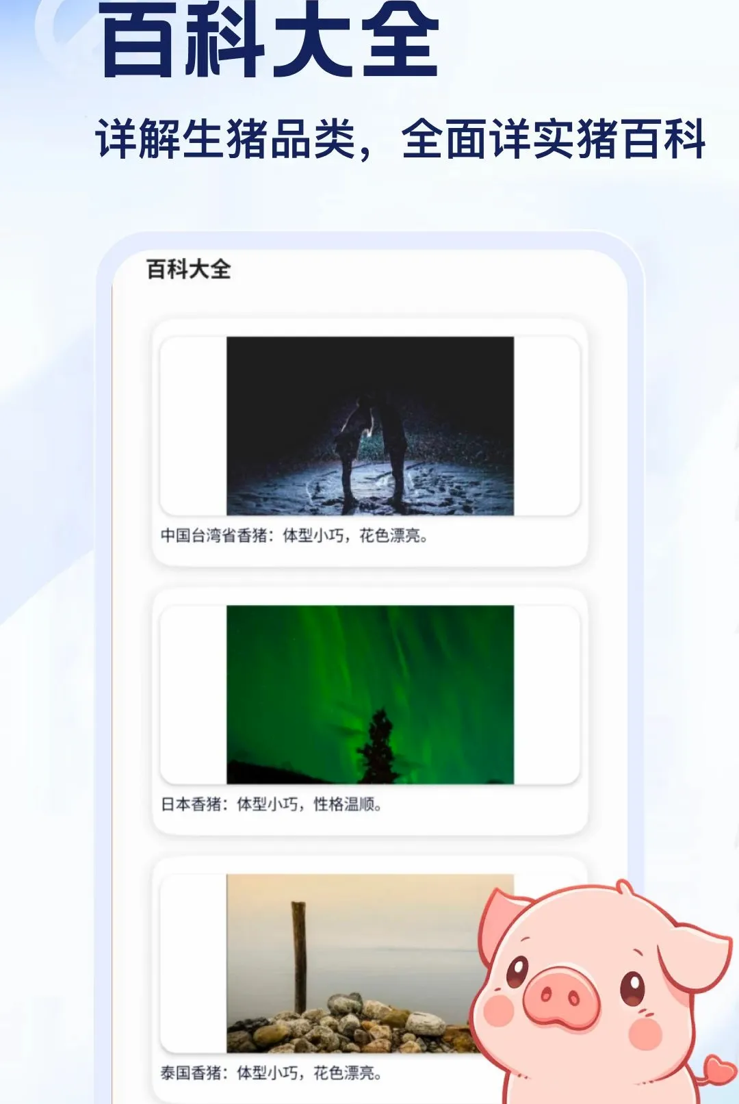 ����APP2026�ٷ����°汾v5.2 �ֻ���